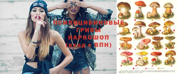 Альфа ПВП Алексеевка